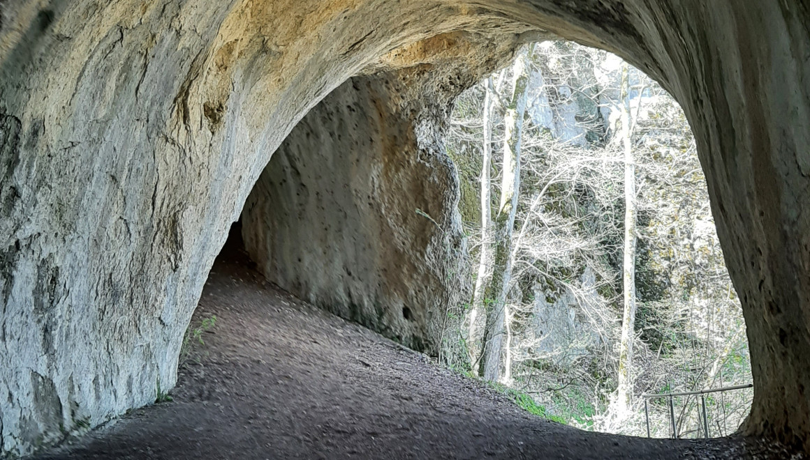 Die Große Scheuer ist die größte und bekannteste der Höhlen des Rosensteins. Sie ist 44 Meter lang und bis zu 7 Meter hoch. Sie verfügt über drei große Öffnungen, die die gesamte Höhle ausleuchten. Die Höhle befindet sich in den Gesteinen des Weißjura Delta. 